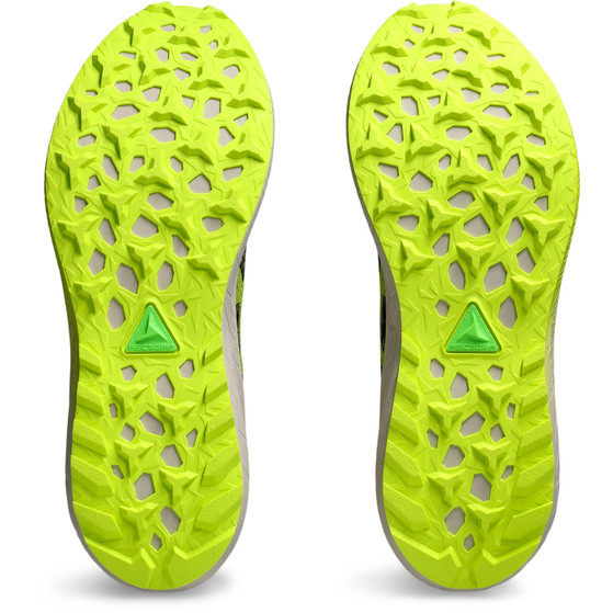 ASICS Fuji Lite 5 Heren