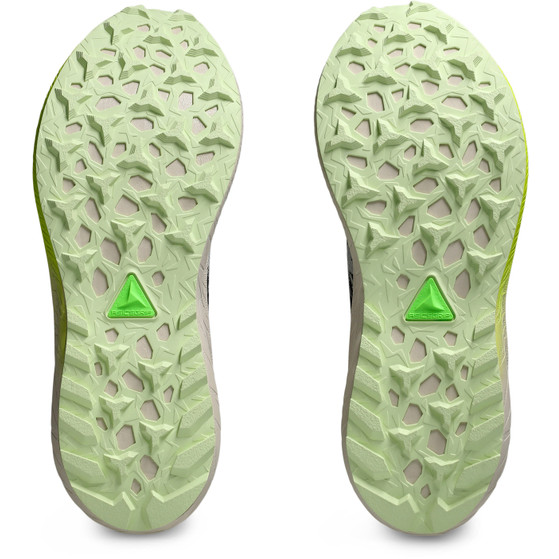 ASICS Fuji Lite 5 Dames