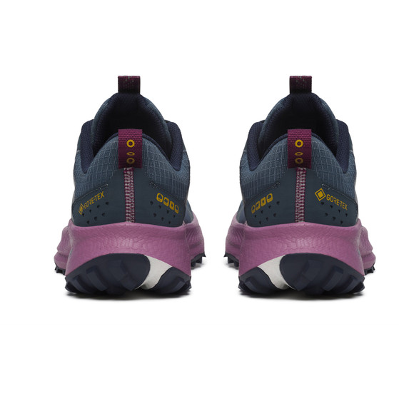 Saucony Ride TR 2 GTX Damen