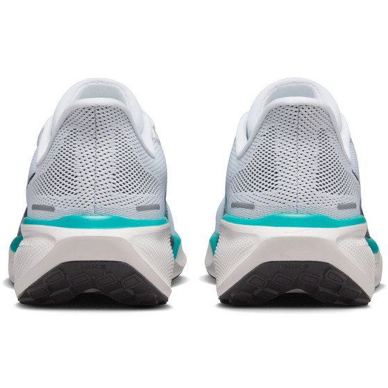 Nike Pegasus 41 Men