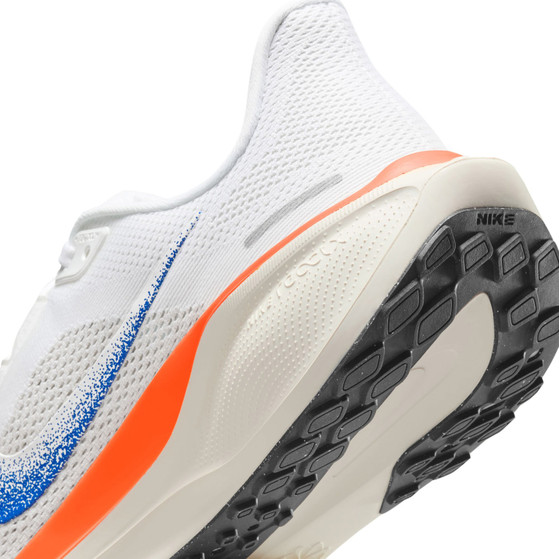 Nike Pegasus 41 Heren