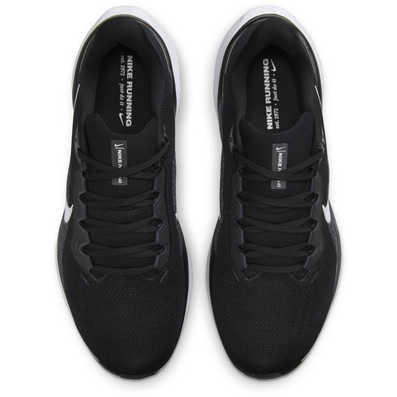Nike Pegasus 41 Heren