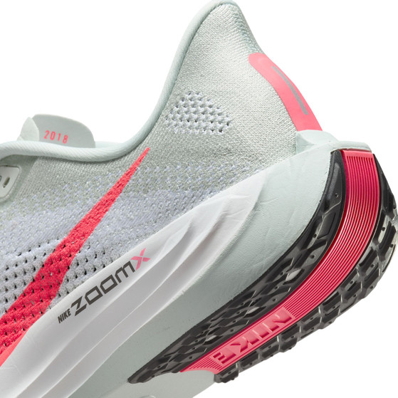 Nike Pegasus Plus Heren