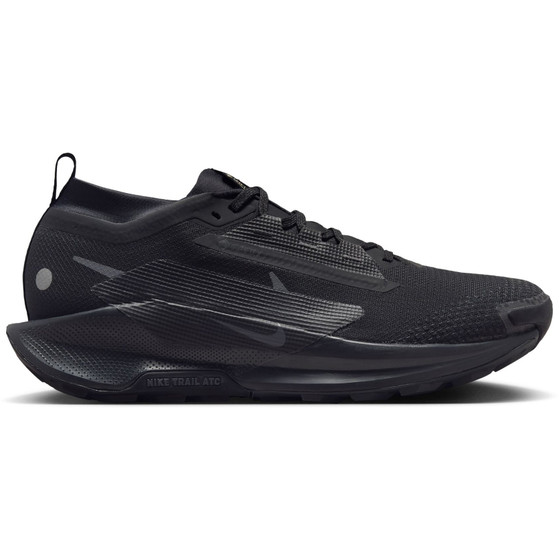 Nike Pegasus Trail 5 GTX Heren