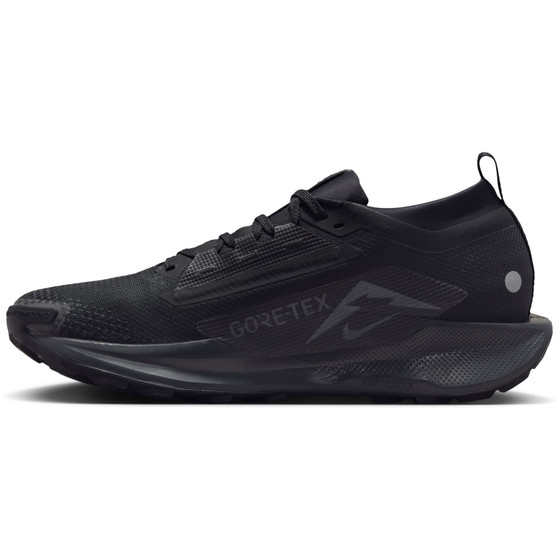 Nike Pegasus Trail 5 GTX Heren
