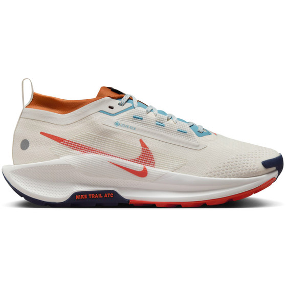 Nike Pegasus Trail 5 GTX Heren
