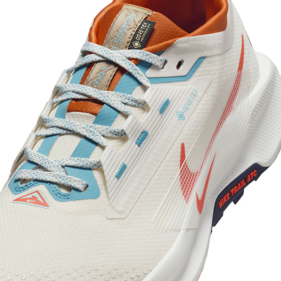 Nike Pegasus Trail 5 GTX Heren