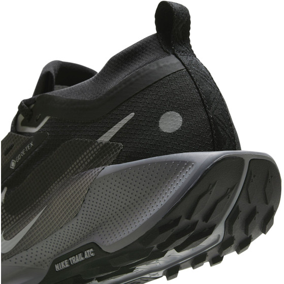 Nike Pegasus Trail 5 GTX Dames