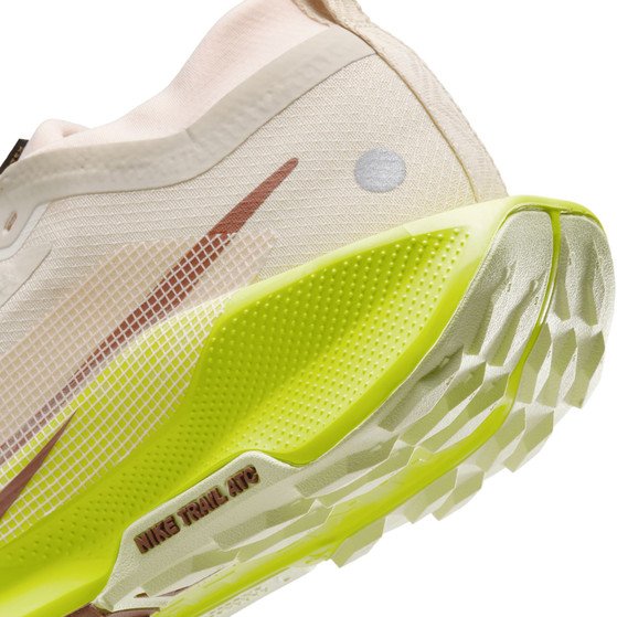 Nike Pegasus Trail 5 GTX Dames
