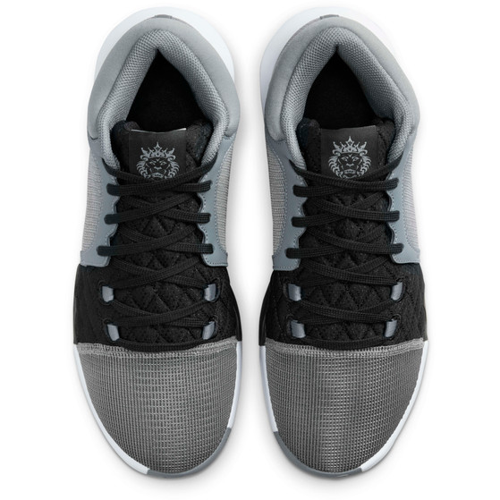 Nike LeBron Witness VIII