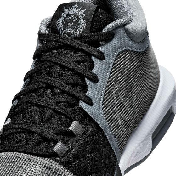 Nike LeBron Witness VIII