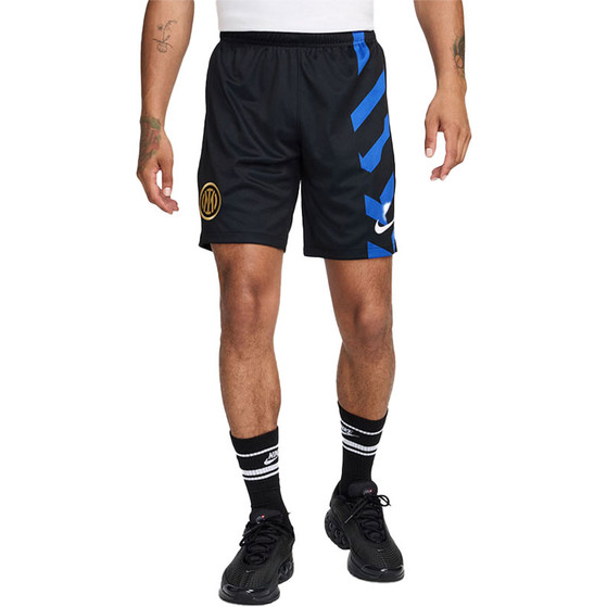 Nike Inter Milan Hemmaställ
