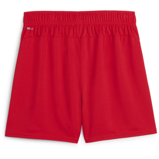 Puma TeamGoal Handball Shorts Women