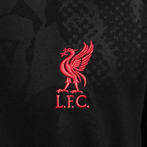 Nike Liverpool Pre-Match Top 2024/2025