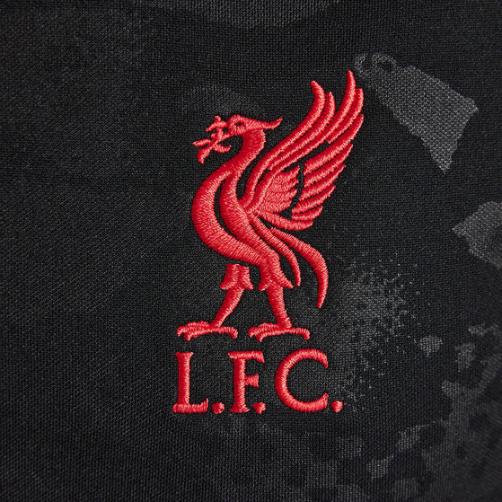 Nike Liverpool Pre-Match Top Kids 2024/2025