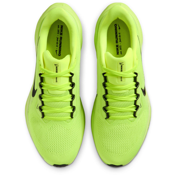 Nike Pegasus 41 Herren
