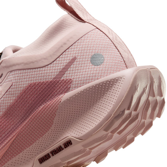 Nike Pegasus Trail 5 GTX Dam