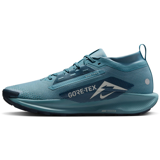 Nike Pegasus Trail 5 GTX Herren