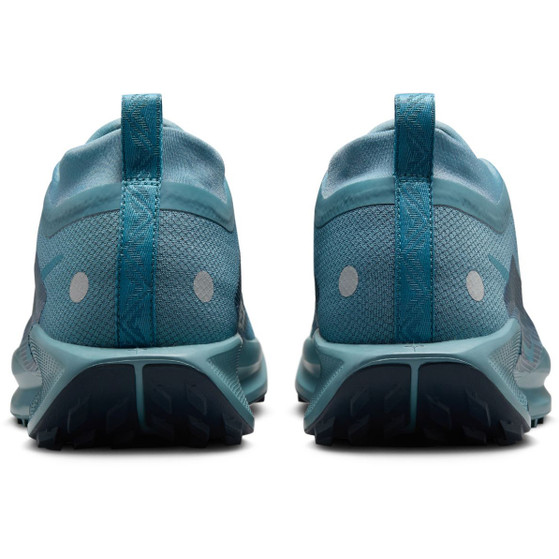 Nike Pegasus Trail 5 GTX Heren