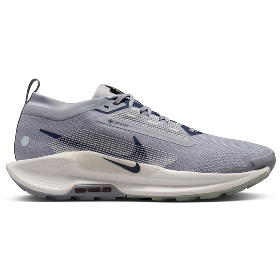 Nike Pegasus Trail 5 GTX Herren