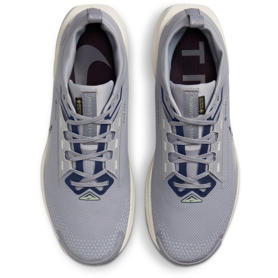 Nike Pegasus Trail 5 GTX Herren