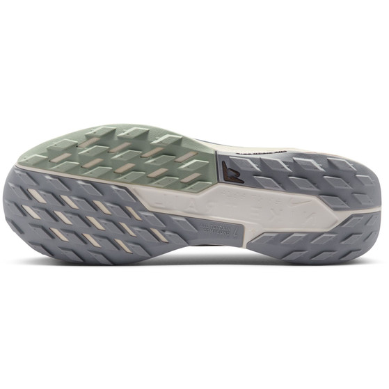 Nike Pegasus Trail 5 GTX Herren