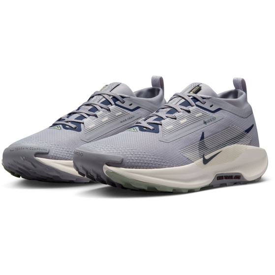 Nike Pegasus Trail 5 GTX Herren