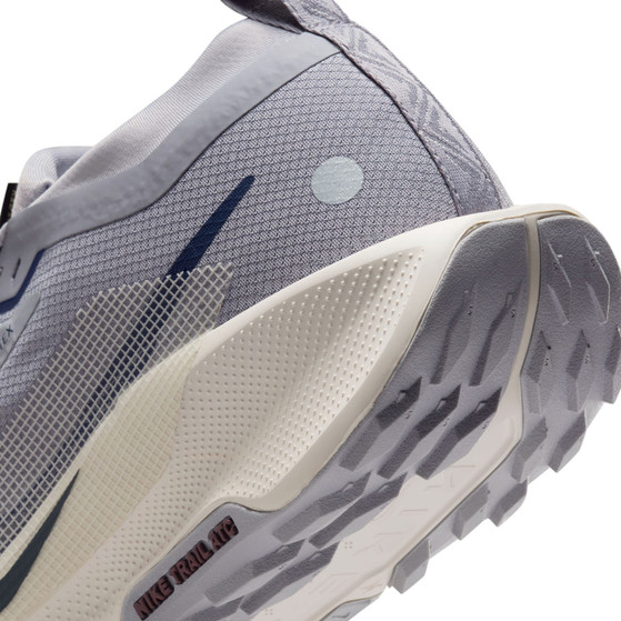 Nike Pegasus Trail 5 GTX Herren