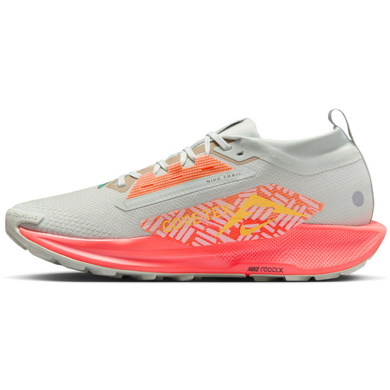Nike Pegasus Trail 5 GTX Herren