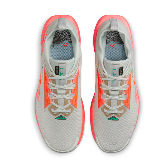 Nike Pegasus Trail 5 GTX Herren
