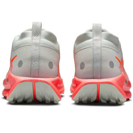 Nike Pegasus Trail 5 GTX Herren