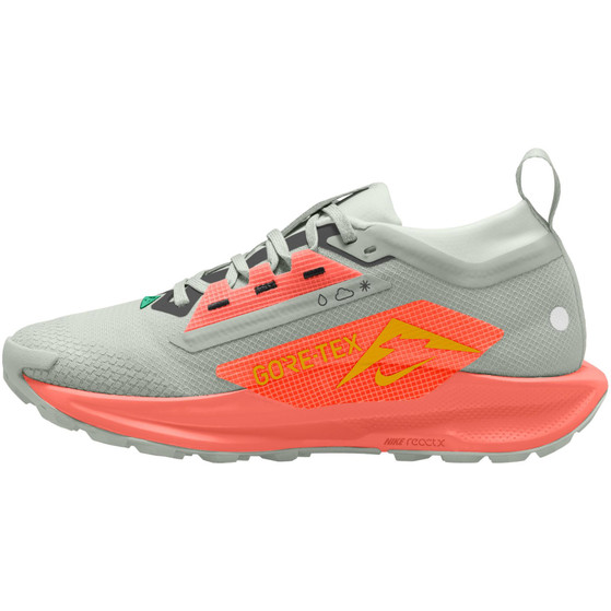 Nike Pegasus Trail 5 GTX Dam