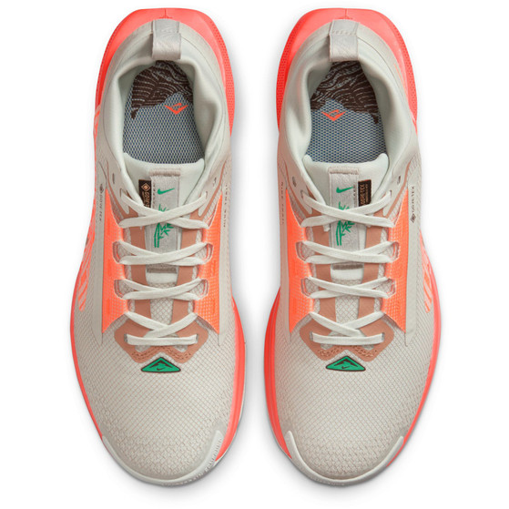 Nike Pegasus Trail 5 GTX Dam