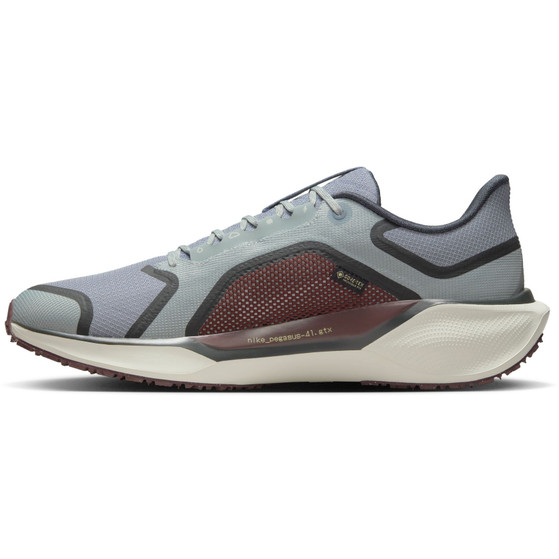 Nike Pegasus 41 GTX Herr