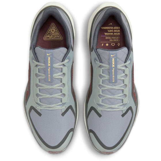Nike Pegasus 41 GTX Herr
