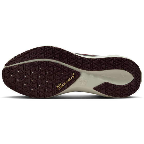 Nike Pegasus 41 GTX Herr