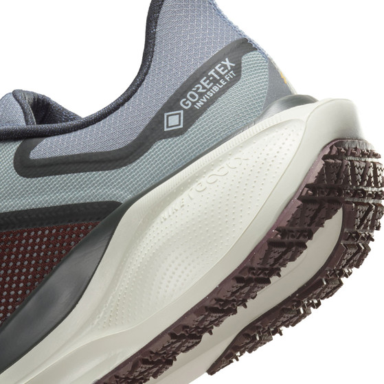 Nike Pegasus 41 GTX Herr