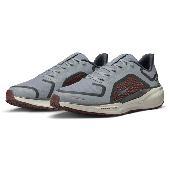 Nike Pegasus 41 GTX Herr