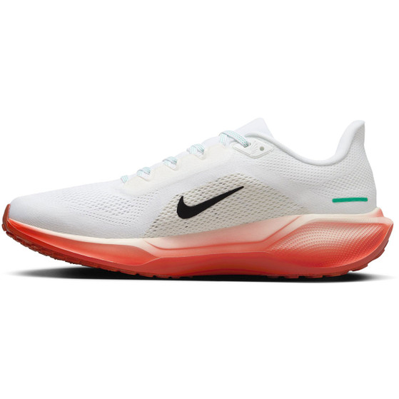 Nike Pegasus 41 EK Heren