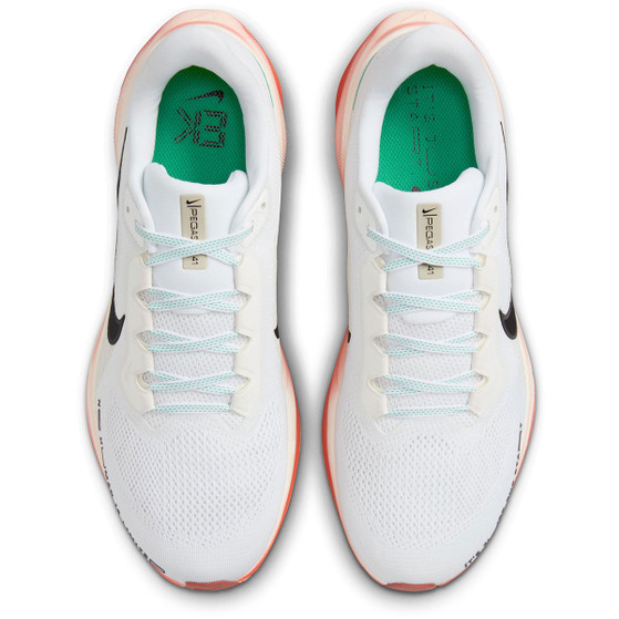 Nike Pegasus 41 EK Heren
