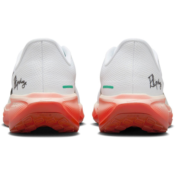 Nike Pegasus 41 EK Heren