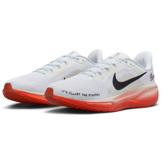 Nike Pegasus 41 EK Heren