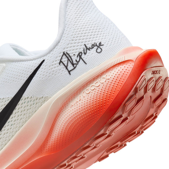Nike Pegasus 41 EK Heren
