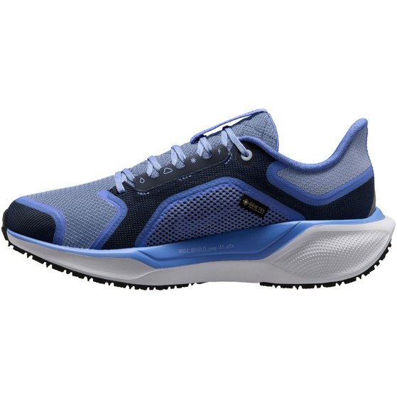 Nike Pegasus 41 GTX Dames