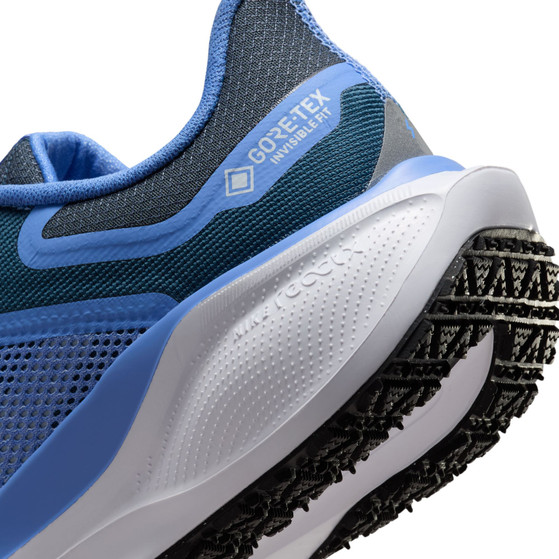 Nike Pegasus 41 GTX Dames