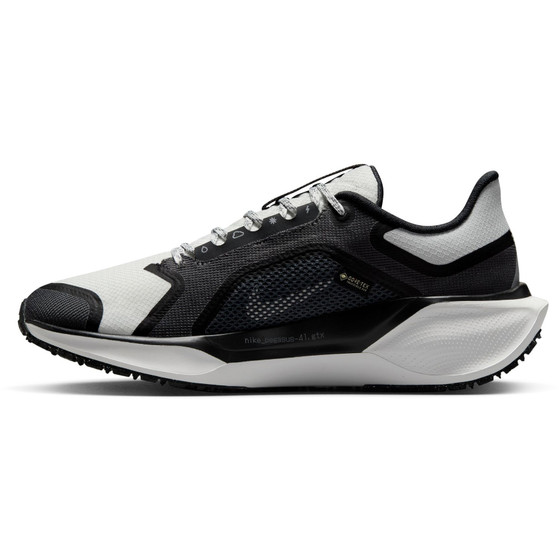 Nike Pegasus 41 GTX Dames