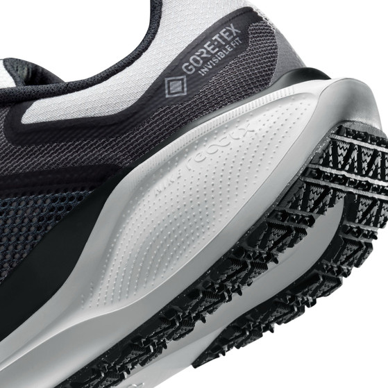 Nike Pegasus 41 GTX Dames
