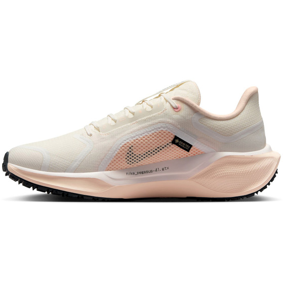 Nike Pegasus 41 GTX Dames
