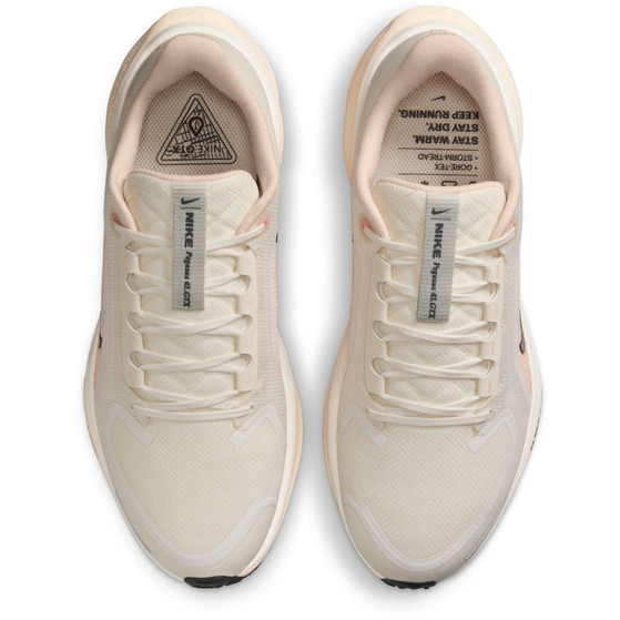 Nike Pegasus 41 GTX Dames