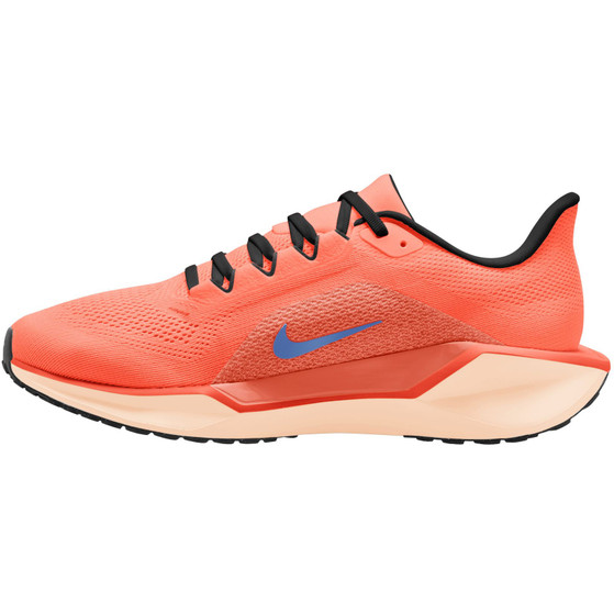 Nike Pegasus 41 Men
